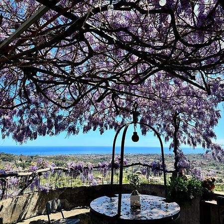 Il Noceto Dell'Etna Acomodação com café da manhã Giarre Exterior foto
