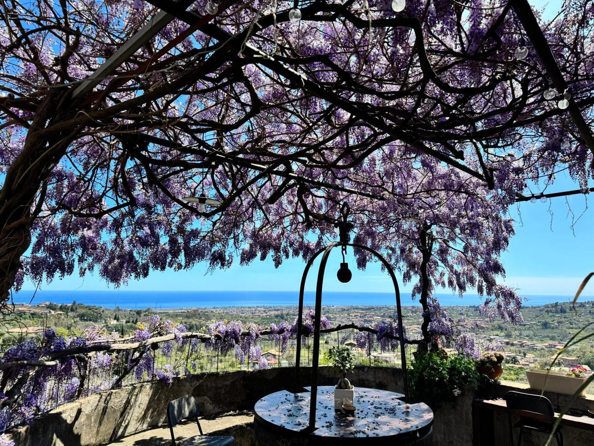 Il Noceto Dell'Etna Acomodação com café da manhã Giarre Exterior foto